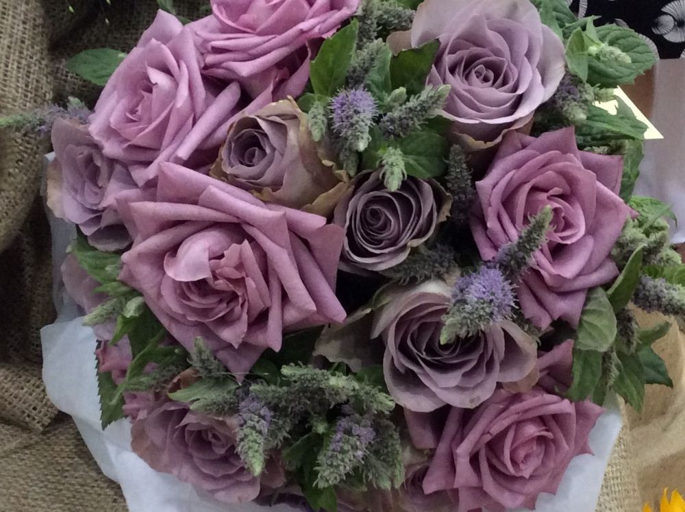 Lilac Roses 