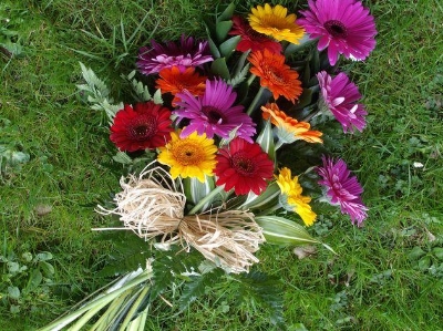 76 Large Gerbera Tied Sheaf