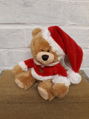 Father Christmas Teddy