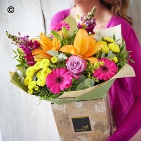 Autumn Flowers