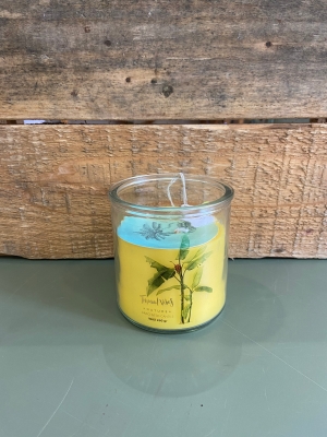 Tropical candle lovely yellow