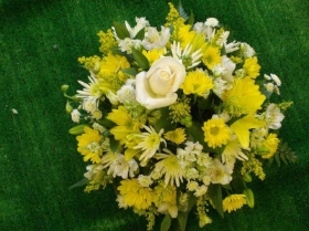 6 Seasonal Posy   Yellow , Cream and White