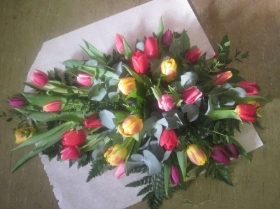 31 Tulip Spray