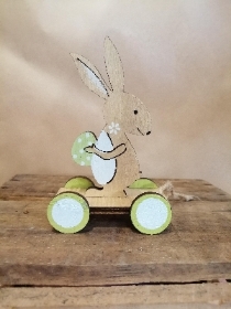 Little rabbit on skateboard