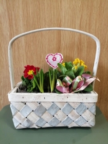 Planted picnic basket