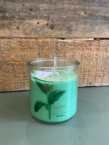 Tropical candle green